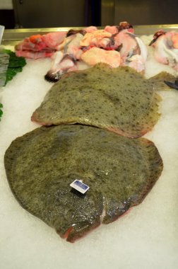 Fresh Turbot fish - Scophthalmus maximus at the fish market clipart