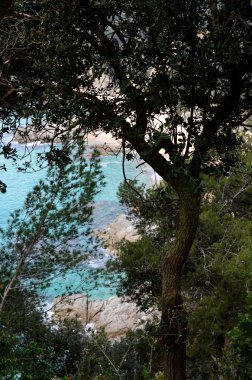 Bir Lloret de mar Costa Brava sahil İspanya