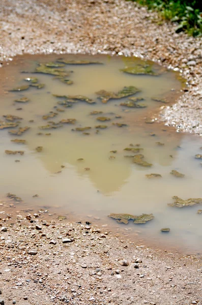 Montanha refletida em uma poça de lama — Fotografia de Stock