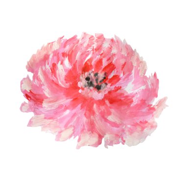 Beyaz arka plan, vektör çizim üzerinde güzel suluboya çiçek
