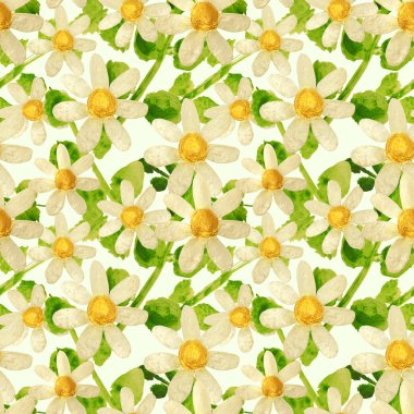 Yeşil arka plan üzerinde boyalar papatya ve yaprakları ile elle çizilmiş, dikişsiz desen