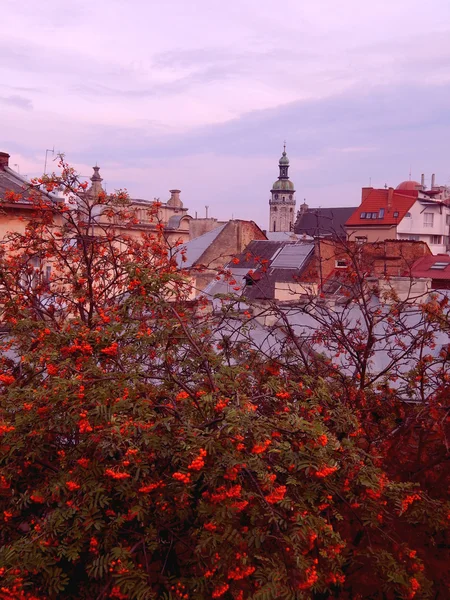 Piękne stare miasto Lwów jesienią — Zdjęcie stockowe