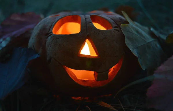 Abóbora de castiçal com uma vela ardente no interior, entre folhas caídas de outono no escuro, símbolo de Halloween — Fotografia de Stock
