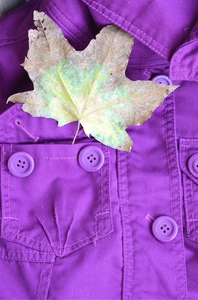 Purple jacket and a maple leaf in the pocket. Bright autumn look