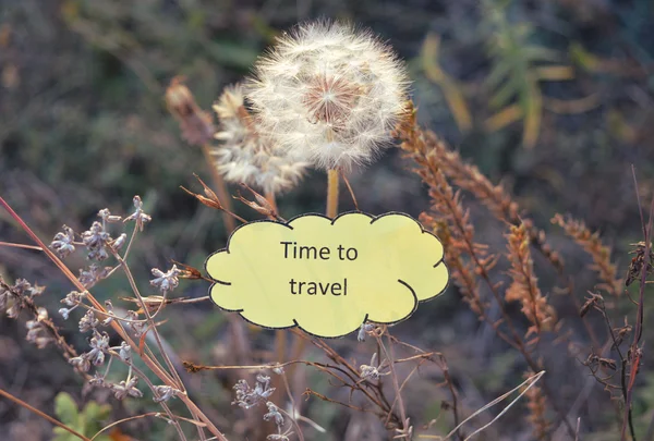Nube de papel con texto Tiempo para viajar, dientes de león blancos y hierba seca de otoño en colores vintage — Foto de Stock