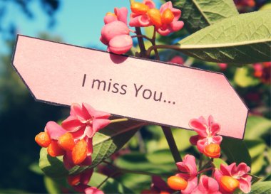 Ben seni özledim, siğil gibi euonymus bush not kağıdı