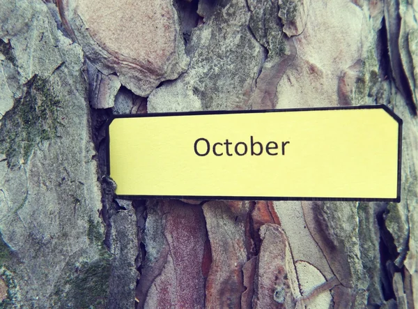 Pohon menggonggong dan kertas catatan Oktober — Stok Foto
