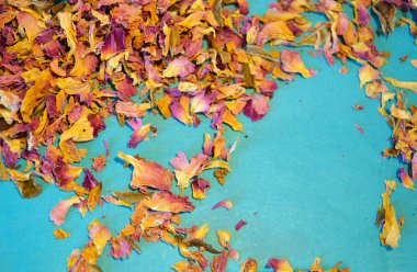 Gülü kurutulmuş yaprakları mavi arka plan üzerinde dağınık