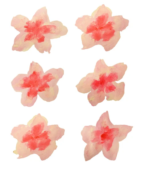 Set di bellissimi fiori ad acquerello su sfondo bianco — Foto Stock