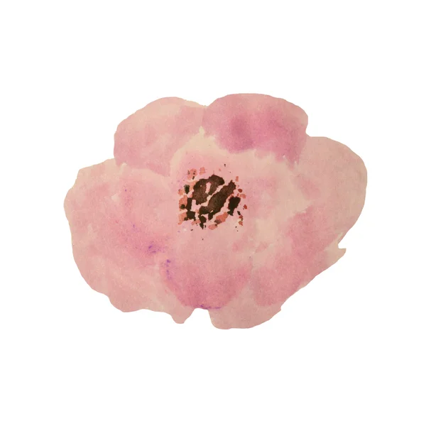 Beautiful watercolor tea rose on white background — Φωτογραφία Αρχείου