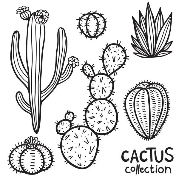 Colección abstracta dibujada a mano de cactus — Archivo Imágenes Vectoriales