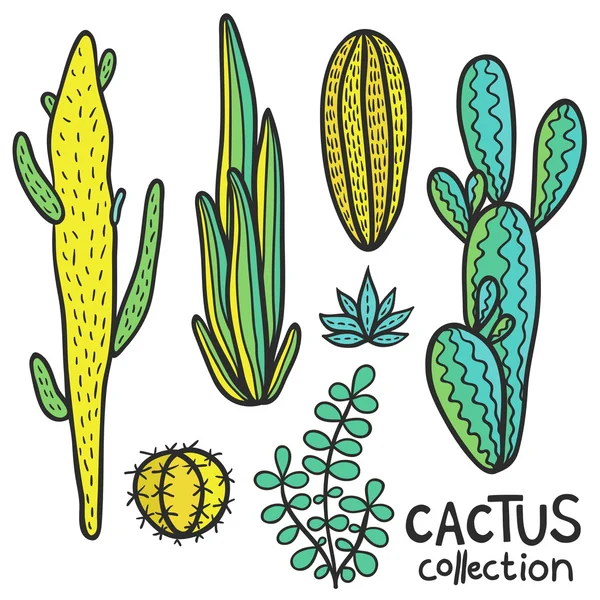 Colección natural abstracta dibujada a mano de los cactus — Archivo Imágenes Vectoriales