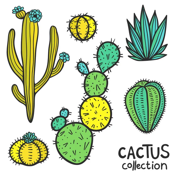 Cactuses Hand Drawn Abstract Natural Collection — Stock Vector