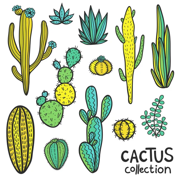 Cactuses Hand Drawn Abstract Natural Collection — Stock Vector