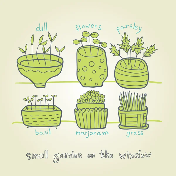 Small green garden on the window — Stock Vector