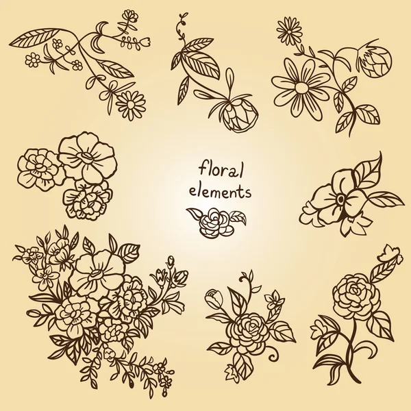 Bela coleção de elementos florais — Vetor de Stock