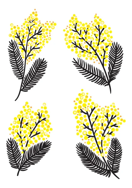 Set de printemps Mimosa . — Image vectorielle