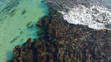 Kristal berrak suları ve ışık dalgaları olan Akdeniz kayalık kıyılarının zenital görüntüsü