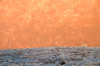 Tuz, çamur ve çürümüş bir odun parçasından yapılan doku.