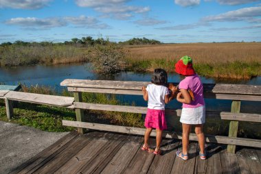 Bir çift çocuk Everglades 'i ahşap bir geçitten izliyor.