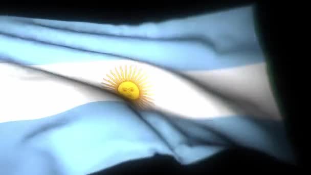 아르헨티나 흔들기 애니메이션 아르헨티나가 바람에 흔들리는 아르헨티나의 바다없는 애니메이션 고품질 — 비디오