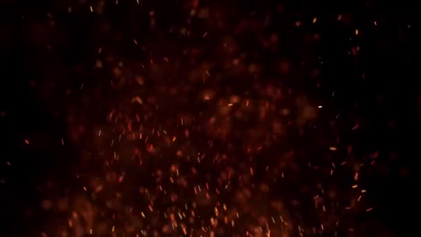 Realistiska Brinnande Eld Gnistor Och Glöder Med Lysande Ljuseffekter Mörk — Stockvideo