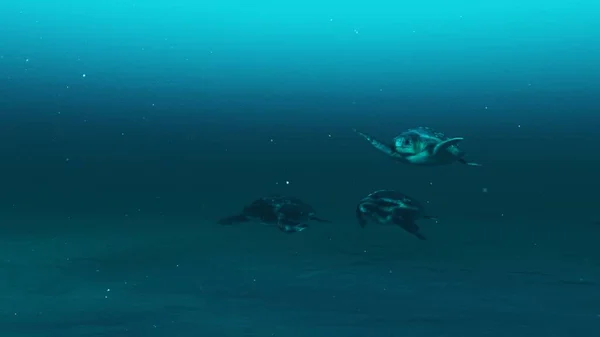 Tre Sköldpaddor Simmar Djupblå Havsvatten Slow Motion Undervattensscen Sköldpaddor Skönhet — Stockfoto