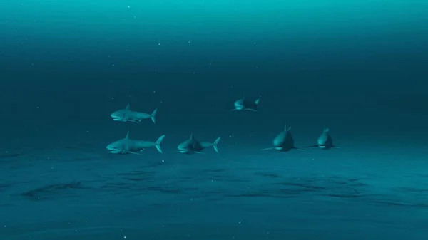 Grupo Grandes Tiburones Blancos Nadando Agua Del Océano Azul Profundo — Foto de Stock