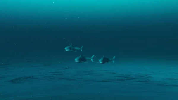 Tres Grandes Tiburones Blancos Nadando Agua Del Océano Azul Profundo — Foto de Stock