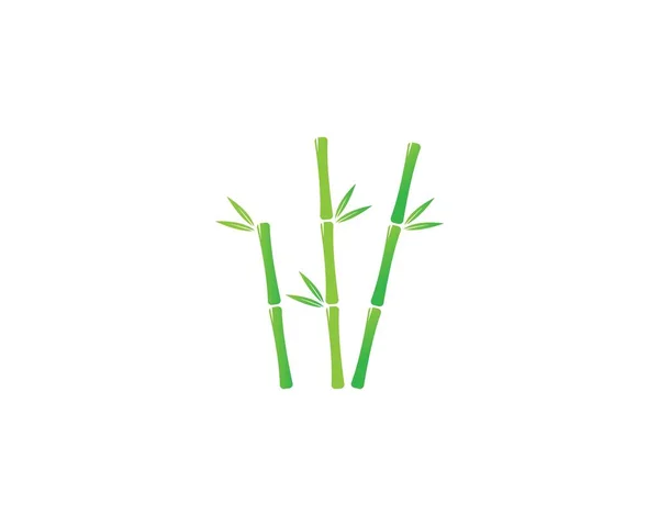 Bambú Con Hoja Verde Para Logotipo Icono Plantilla Vector — Vector de stock