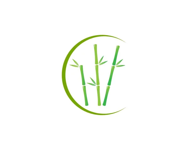 Бамбук Зеленим Листом Вашого Логотипу Векторний Шаблон — стоковий вектор