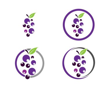 Gıda uygulamaları ve web siteleri için yaprak simgesi ile bir demet şarap üzümü