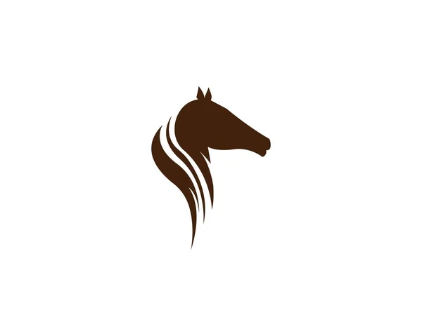 Modelo Logotipo Cavalo Design Ilustração Vetorial — Vetor de Stock