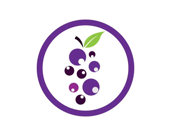 Ramo Uvas Vino Con Icono Hoja Para Aplicaciones Alimentos Sitios — Vector de stock