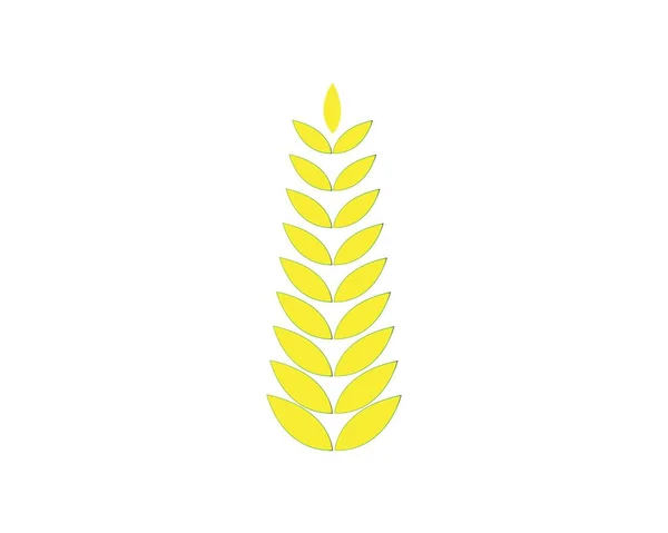 Weizen Logo Vorlage Vektor Icon Design — Stockvektor