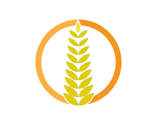 Пшениця Логотип Шаблон Векторний Дизайн Піктограми — стоковий вектор