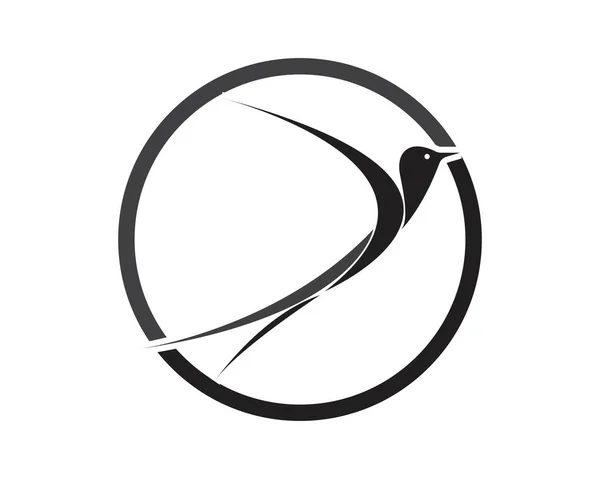 Kuş Logosu Şablonu Vektör Çizimi — Stok Vektör