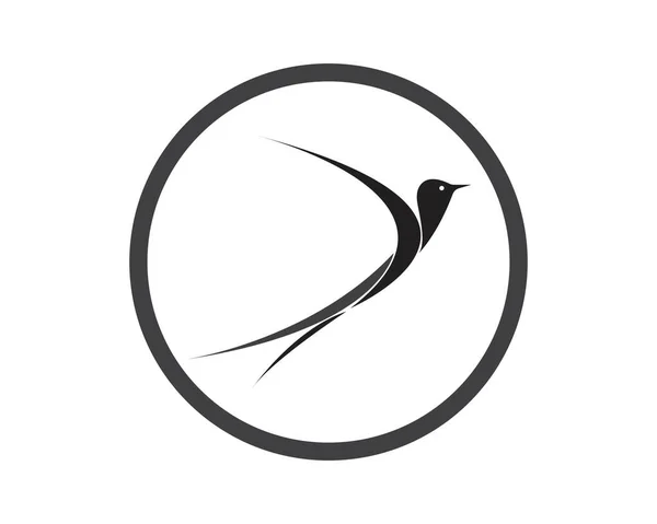 Bird Logo Skabelon Vektor Illustration – Stock-vektor