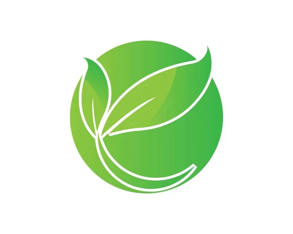 Verde Hoja Ecología Naturaleza Elemento Vector Icono — Vector de stock