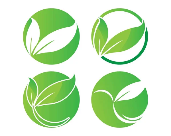Green Leaf Ecology Nature Element Vector Icon — Stock Vector