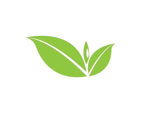 Verde Hoja Ecología Naturaleza Elemento Vector Icono — Vector de stock
