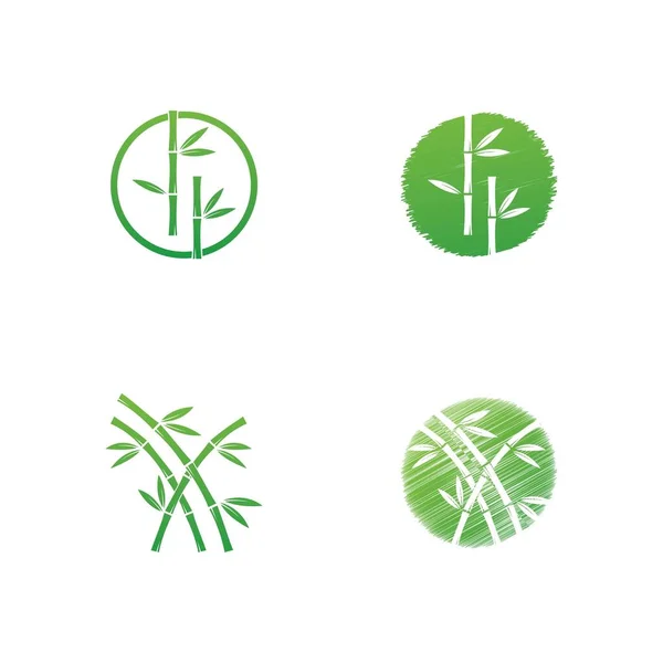 Бамбук Зеленым Листом Векторного Шаблона Логотипа — стоковый вектор
