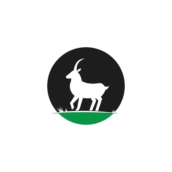 Goat Logo Templat Vektor - Stok Vektor