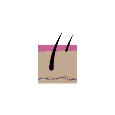 Saç tedavisi logo vektör şablonu