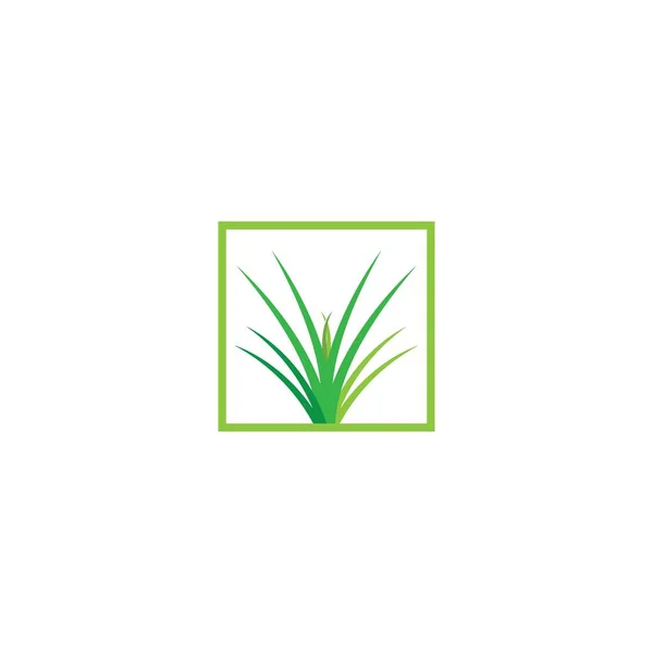 Grass Logo Vector Template — Stock Vector