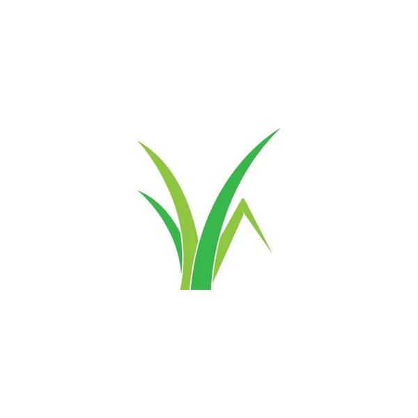 草のロゴベクトルテンプレート — ストックベクタ