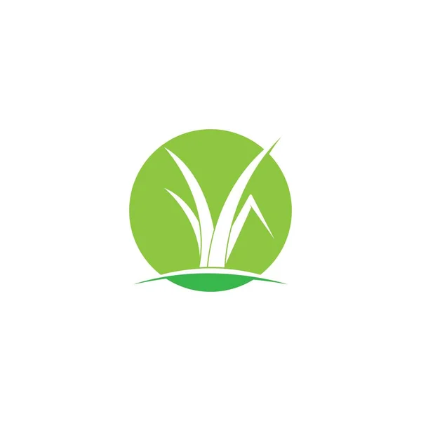 Grass Logo Vector Template — Stock Vector