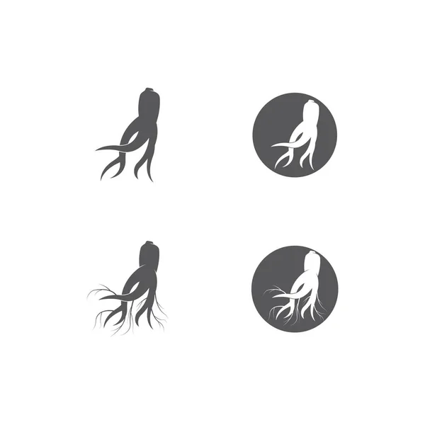 Ginseng Vector Pictogram Illustratie Ontwerp Template — Stockvector