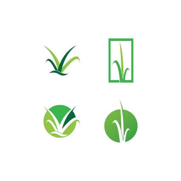 Grass Logo Vector Template Illustration Design — Stock Vector