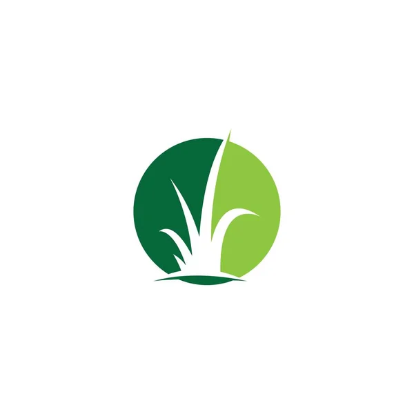 Трава Логотип Векторний Дизайн Шаблону Ілюстрація — стоковий вектор